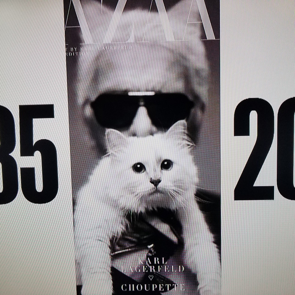 Meet your Posher, Raul